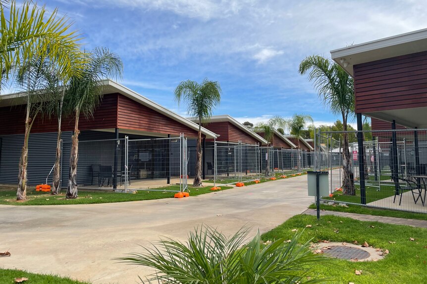 A row of units with palm trees around them and fences in front of each one.