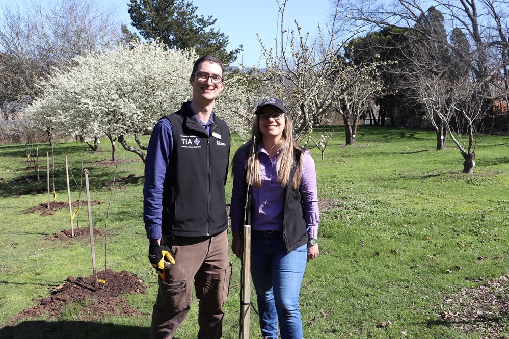 Heritage apples protected at historic Tasmanian orchard