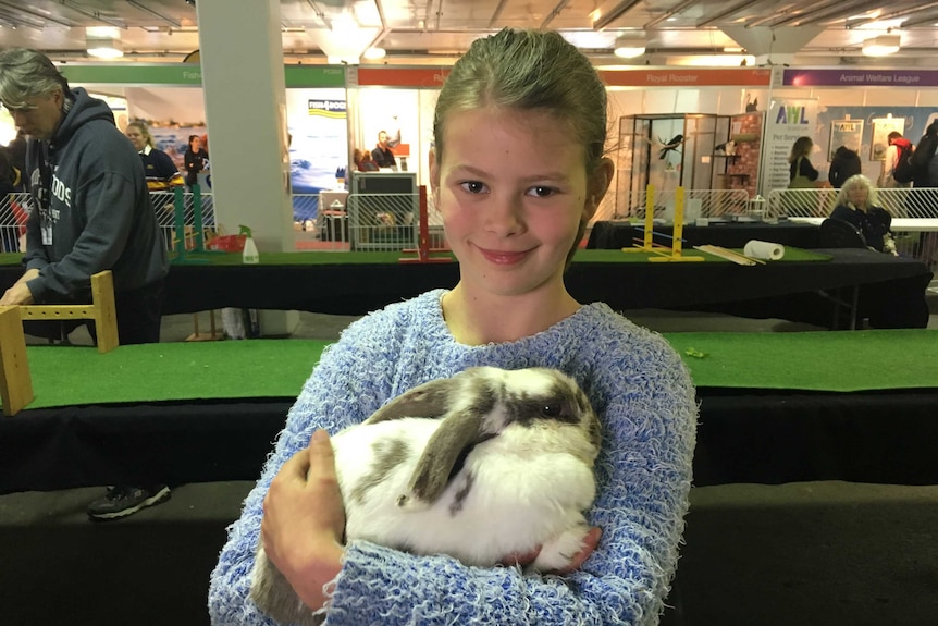 A young girl holds a rabbit in her arms. The rabbit is white with grey markings, and is snuggling into the girl's chest.