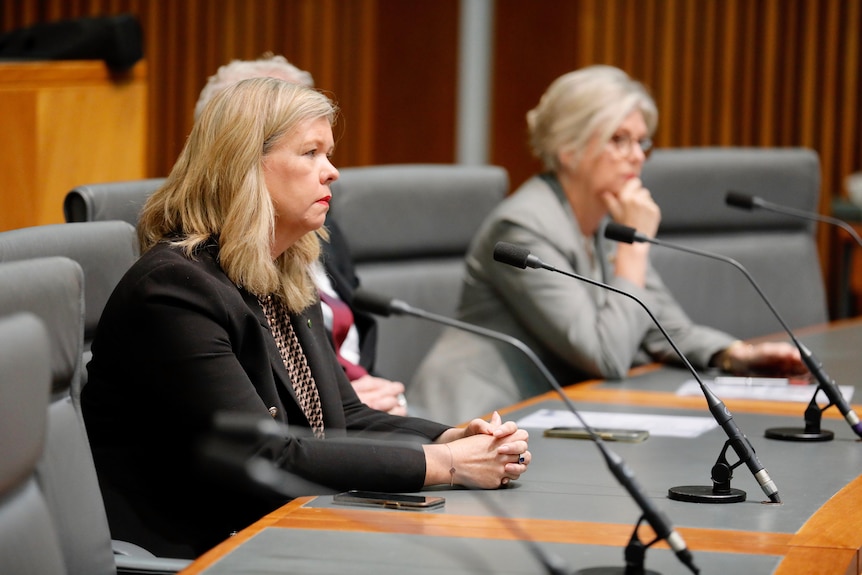 Archer sits with her hands folded at a committee bench, listening to a witness out of shot.