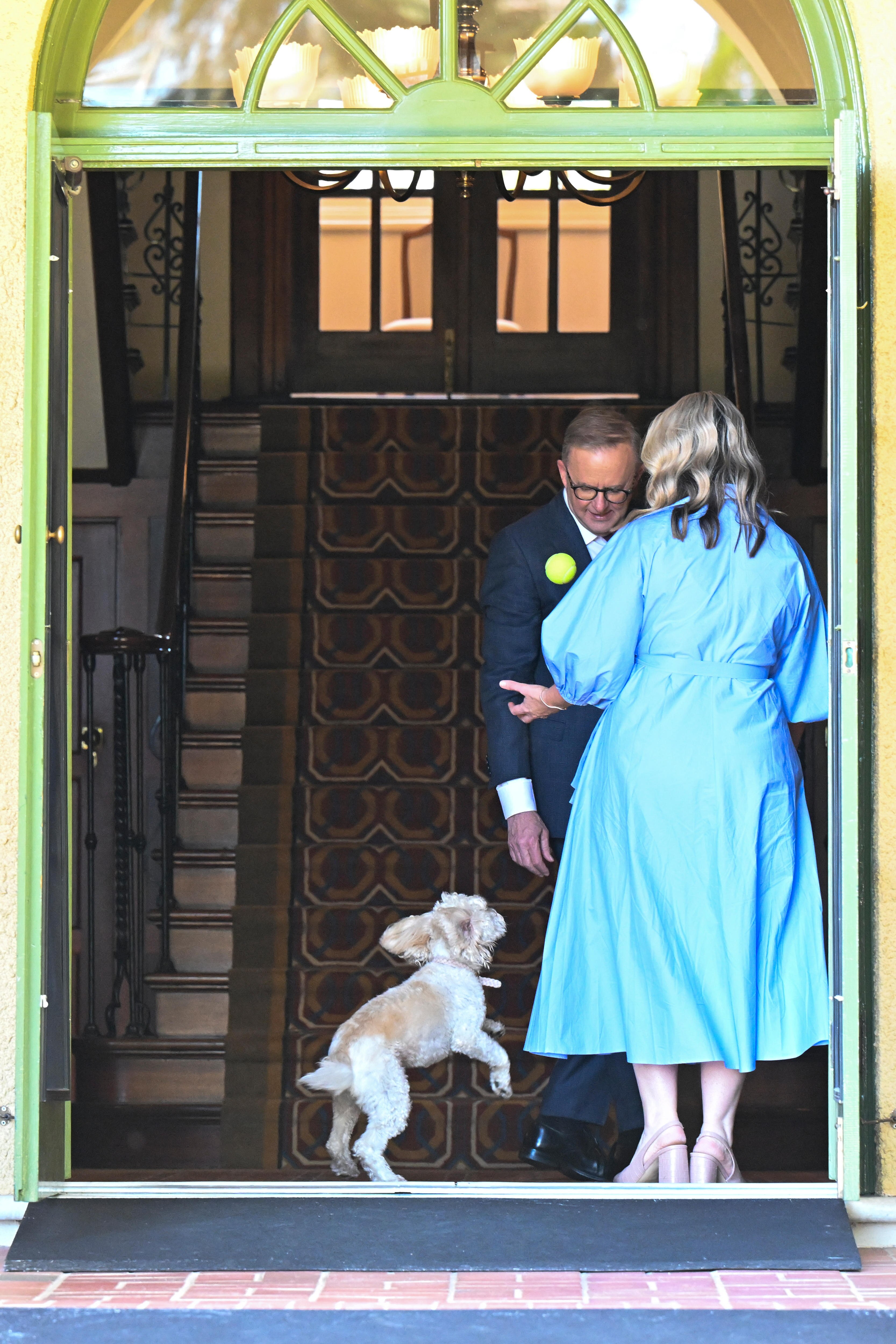 Un hombre y una mujer están parados en una puerta mientras un pequeño perro blanco salta en el aire en busca de una pelota de tenis.