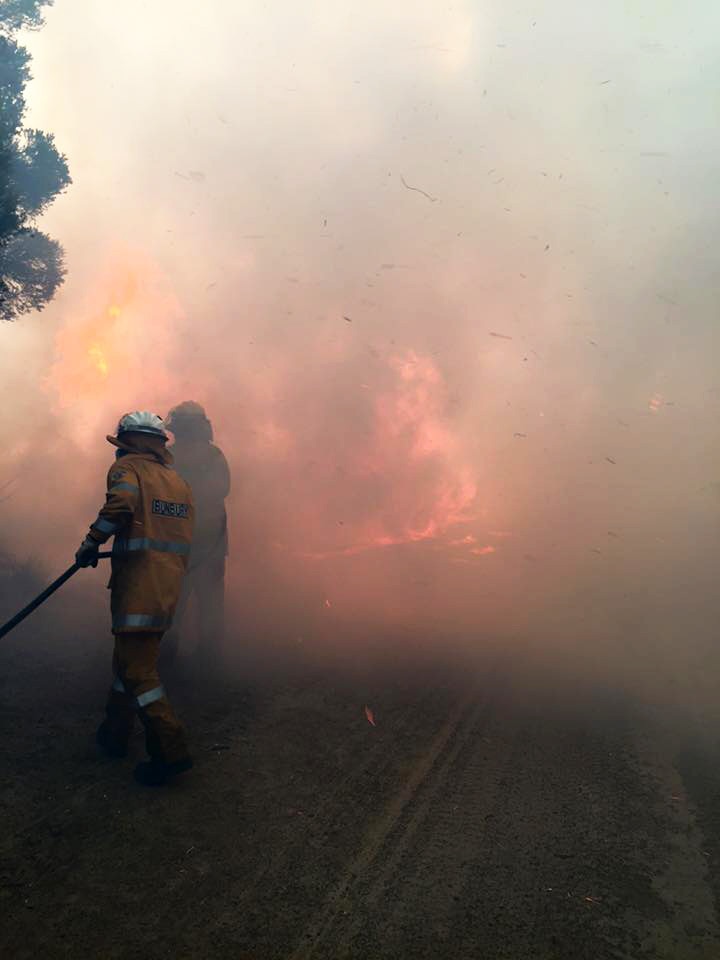 Two firefighters with a hose try to extinguish flames in a paddock.