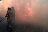 Two firefighters with a hose try to extinguish flames in a paddock.