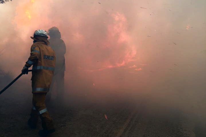 Two firefighters with a hose try to extinguish flames in a paddock.