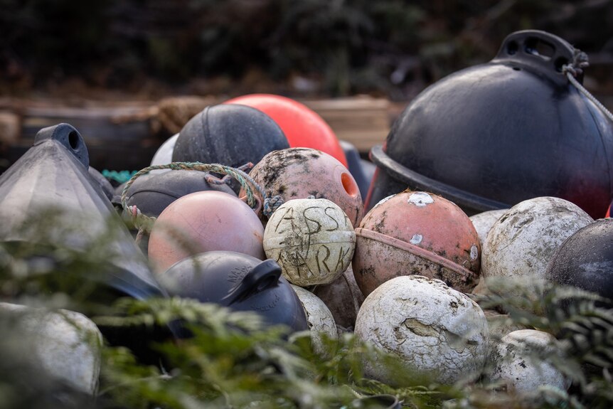 Collection of buoys that have washed up on the shoreline. 