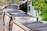 Rail trucks filled with coal.