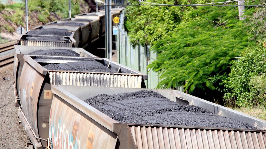 Rail trucks filled with coal.