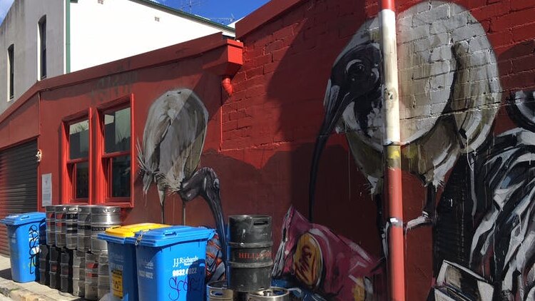 Ibis mural by Scott Marsh in Teggs Lane, Chippendale, Sydney.