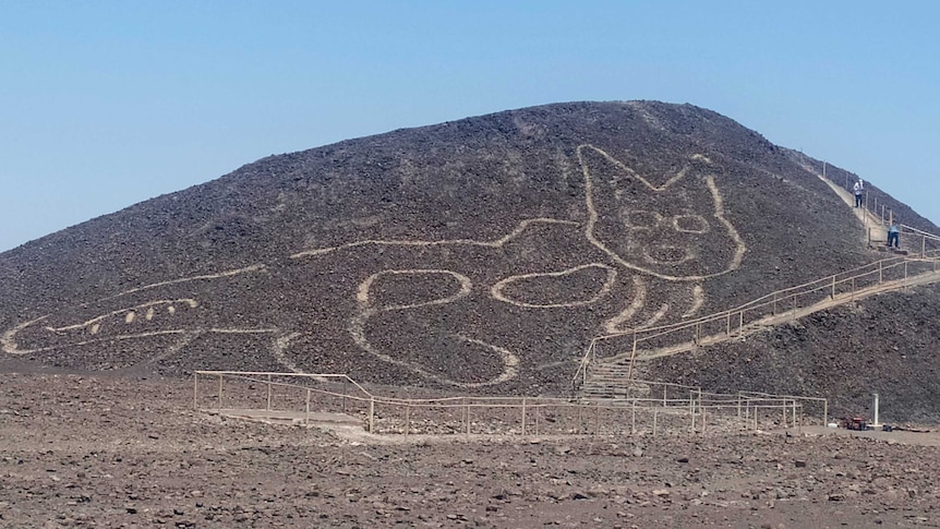 The figure of a feline shown on a hillside in Nazca, Peru.