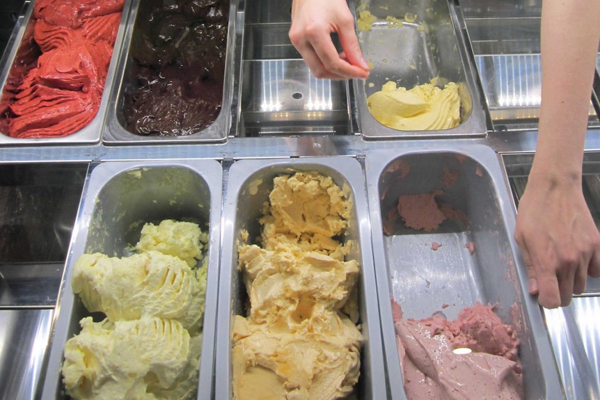 Selection of gelato