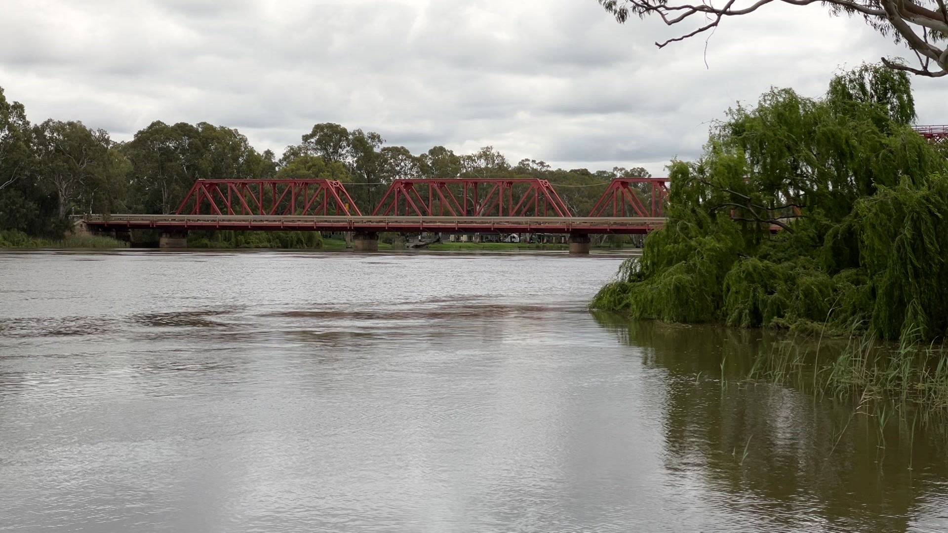 River Murray flows expected to peak at 135 gigalitres a day, SA