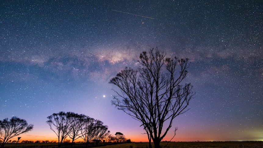 Streak across starry sky with silhouetted trees