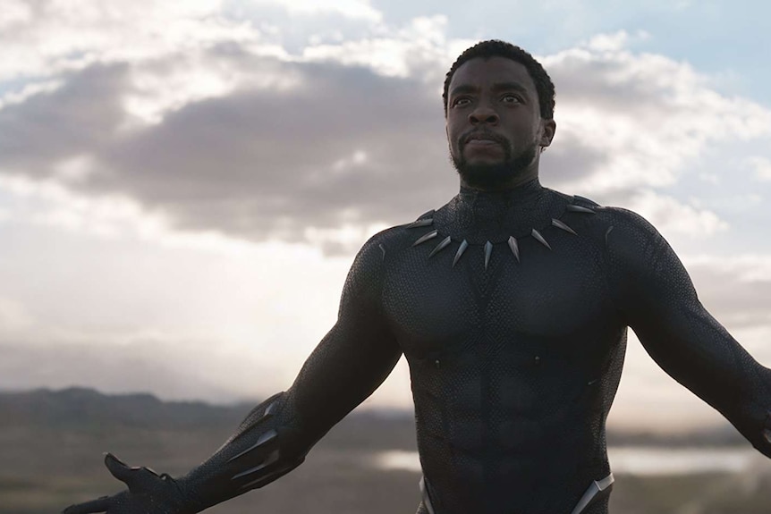 Black Panther too 'politically correct' for China as ticket sales dive in  world's second-largest market - ABC News