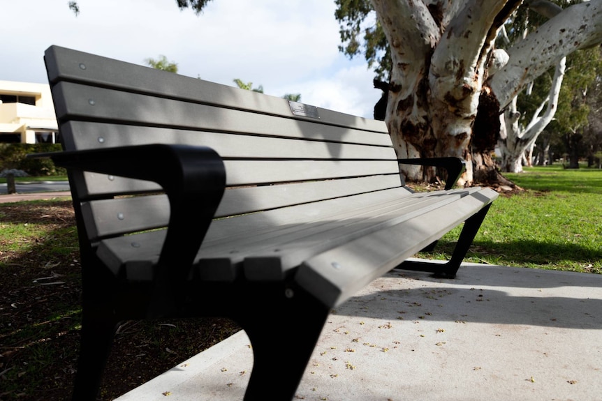 A bench located next to a tree.