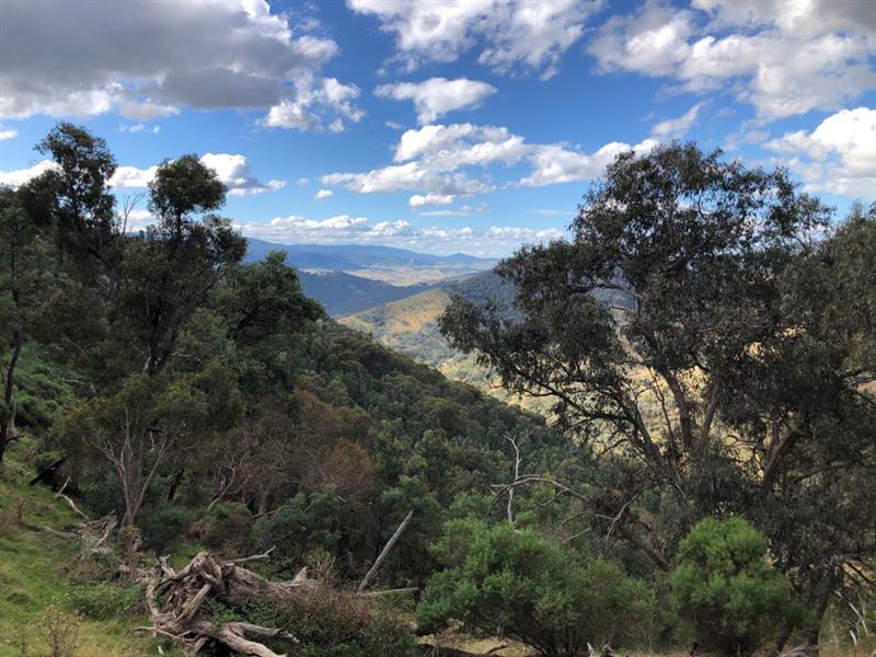 Photo of bushland and hills.