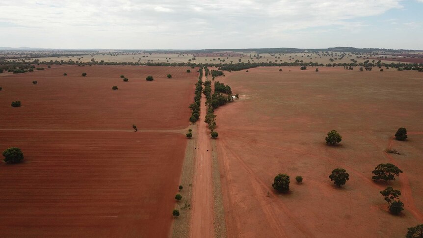 An aerial photo of fields of red dirt.