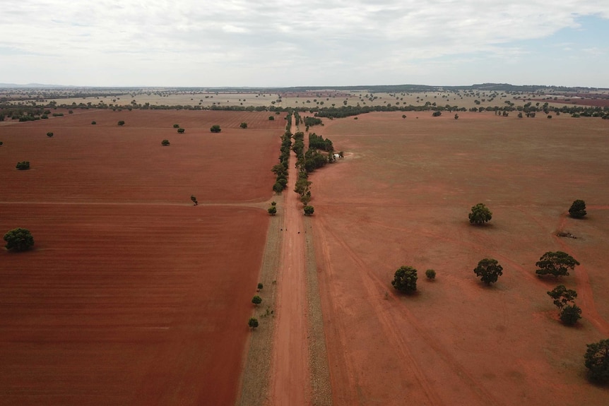 An aerial photo of fields of red dirt.