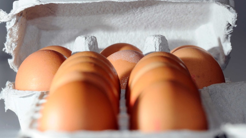 Free range eggs shown with caged eggs.