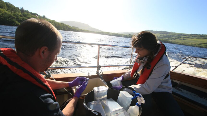 The team took water samples from several sites on the lake