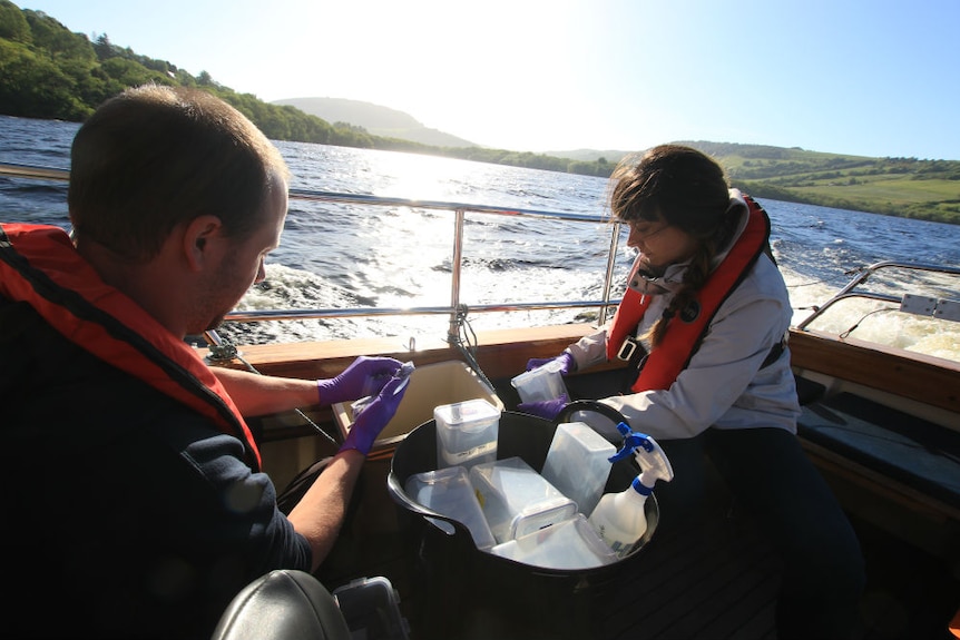 The team took water samples from several sites on the lake