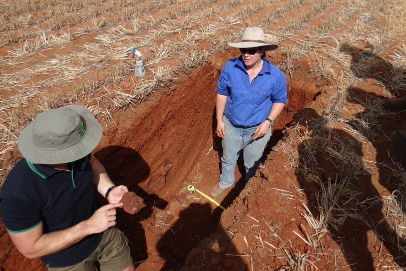 A farmer in a metre deep pit with a few farmers standing around.