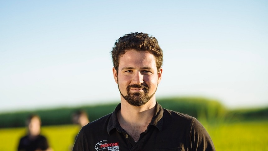 Farmer Ross Pirrone stands in a cane field.