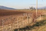 Fingal Valley in drought