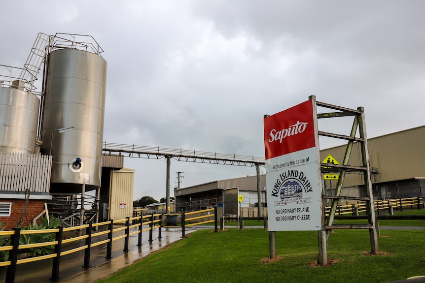 Driveway into a dairy facility with a sign for Saputo and King Island dairy at the entrance