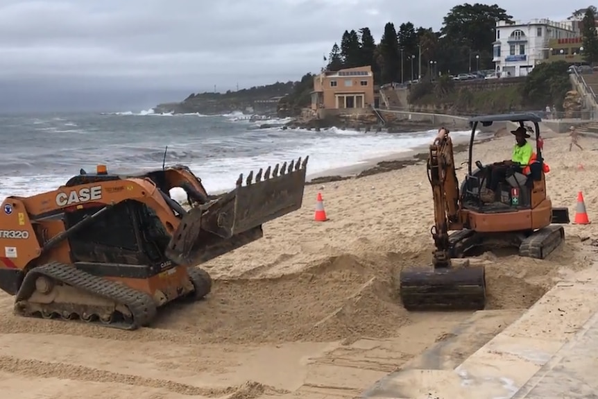 Two diggers work on levelling the sand at Coogee Beach