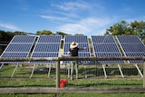 A woman squirts water from a hose onto a pod of solar panels.