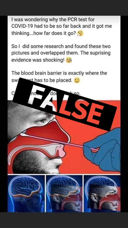 A Facebook posts about PCR tests, which incorrectly claims the swab is placed at the blood brain barrier.