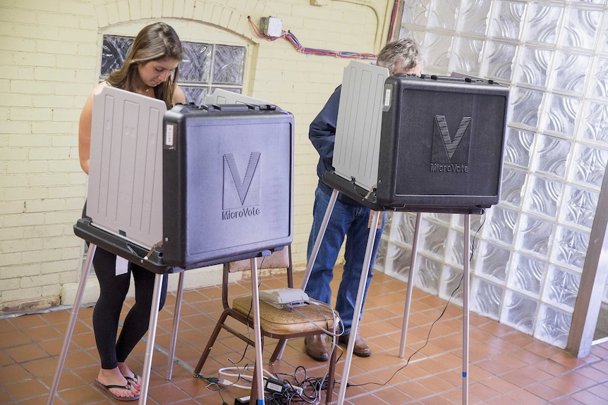 Voters stand in booths to cast their ballots.