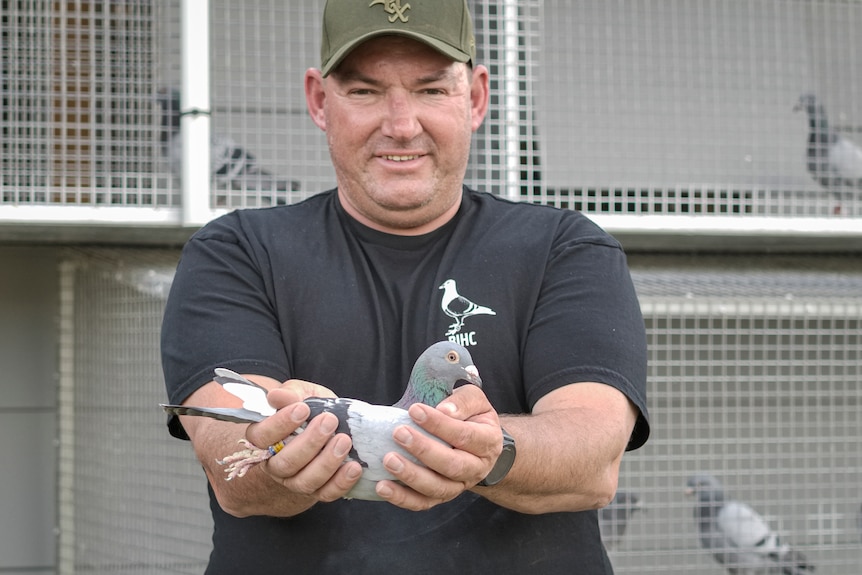 A man holding a pigeon in fine condition.
