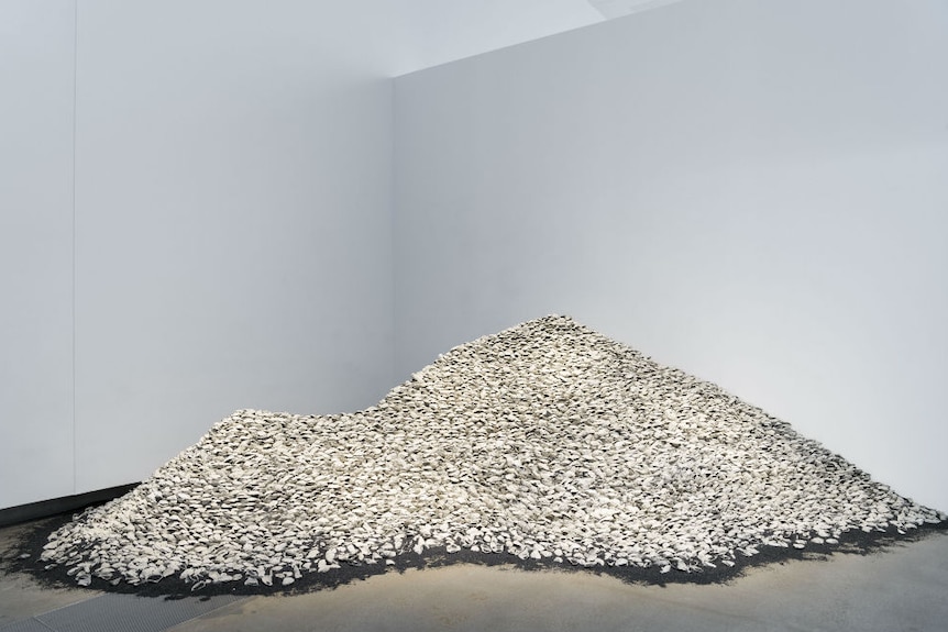 A big pile of oyster shells on dirt, in a room with white walls