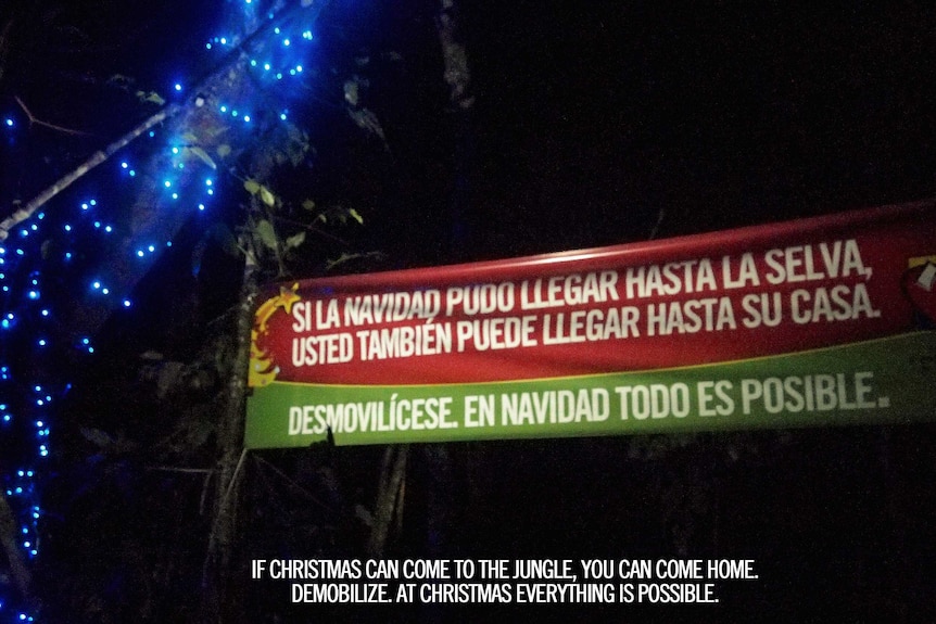 A sign in Spanish hangs next to a tree with blue lights in it at night.