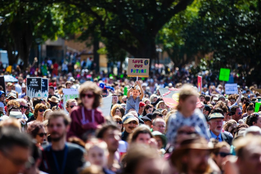 The September climate strike in Sydney's The Domain