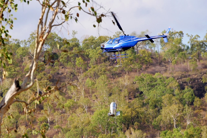 A helicopter carrying a hopper full of ant bait takes off from a paddock