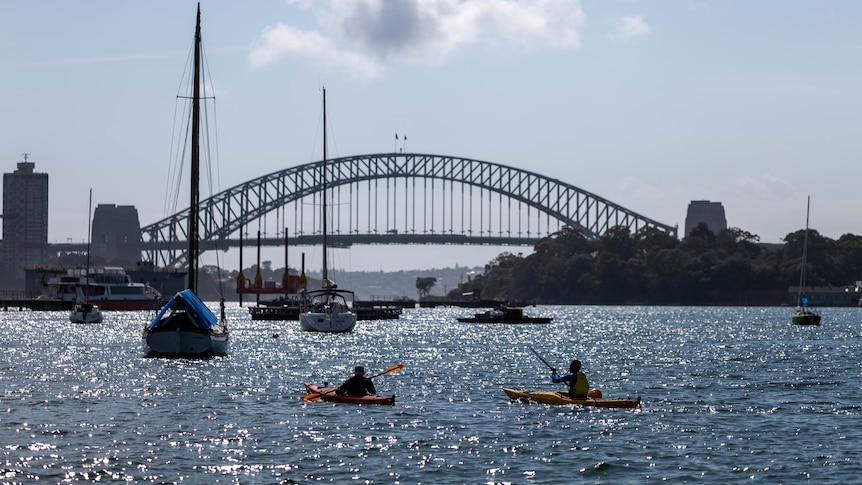 Two people are seen kayaking along Sydney Harbour. The Harbour Bridge can be seen in the background.