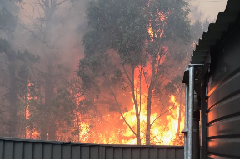 trees on fire beyond the fence of a house