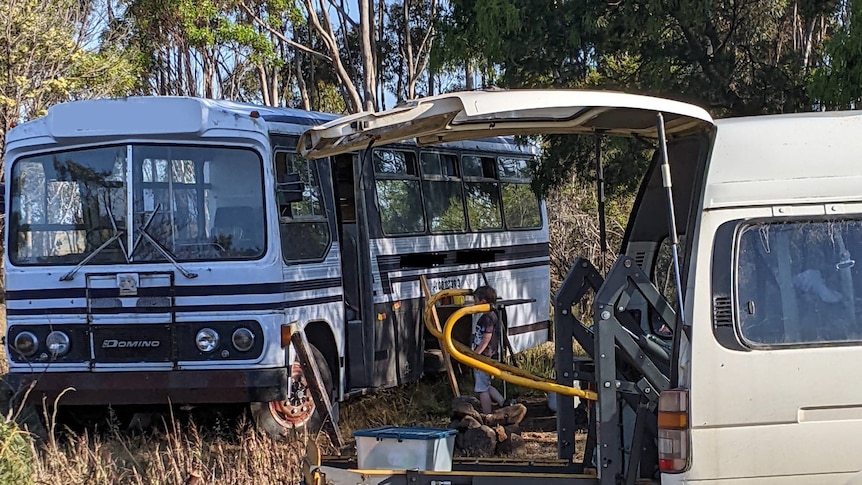 Image of a bus near the bush