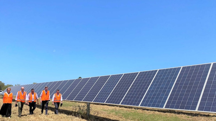 Five people in orange vests walking alongside solar panels.