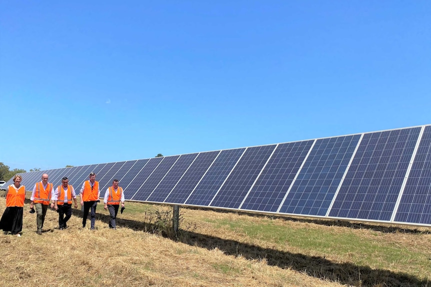 Five people in orange vests walking alongside solar panels.