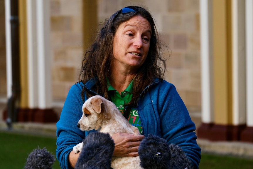 RSPCA spokeswoman Nanda Ten-Grotenhuis holds a red cattledog puppy