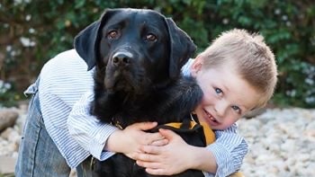 A small boy wearing jeans and a blue shirt hugs a seated black labrador wearing a black and yellow vest, smiling.