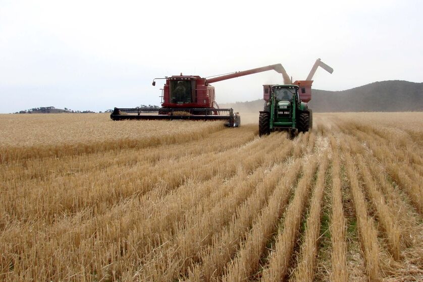 A chaser bin drives alongside a header as it harvests wheat