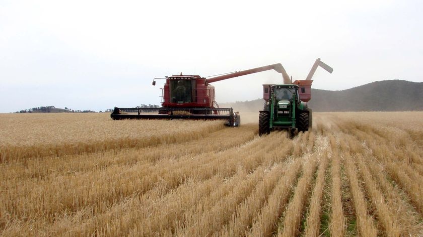 A header harvesting crops with a chaser bin driving alongside it.