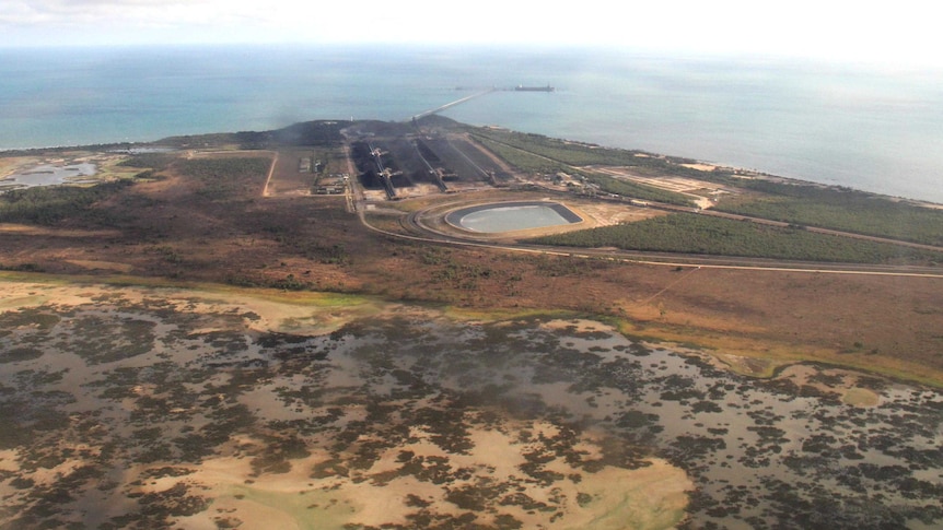 The wetlands behind the Abbot Point coal terminal in northern Queensland where feral pigs roam.