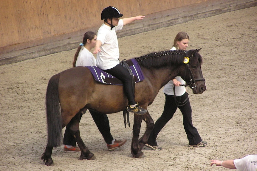 Therapeutic horseback riding horse show