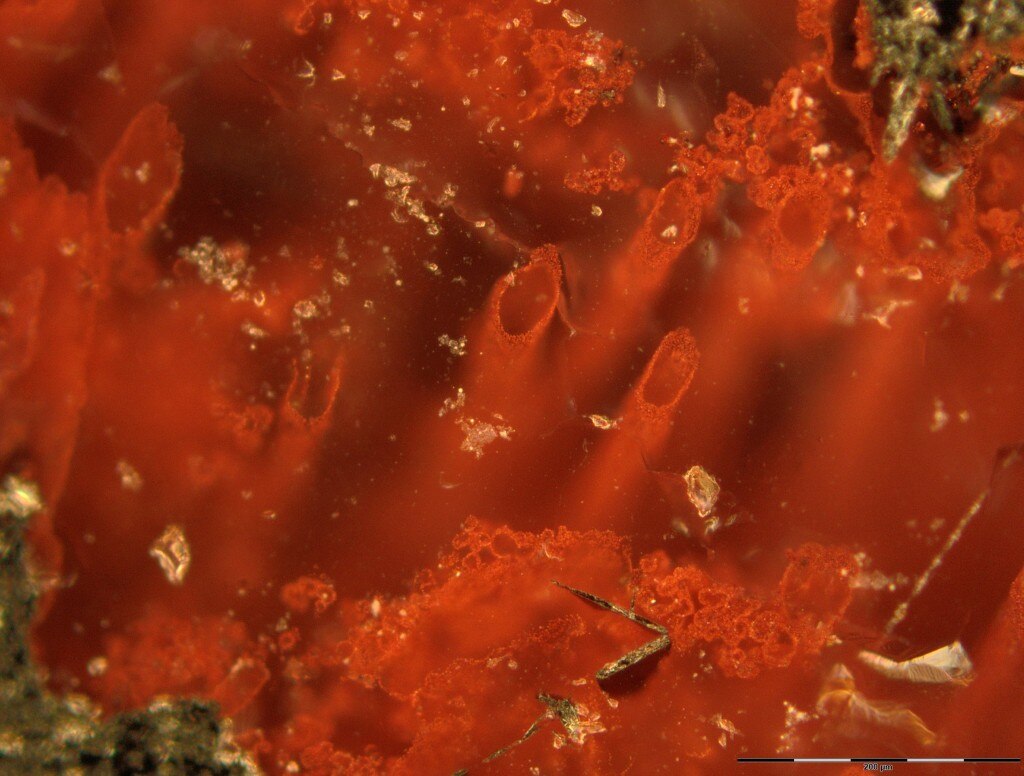 Fossilised filaments from hot ocean vent claimed to be earliest ...