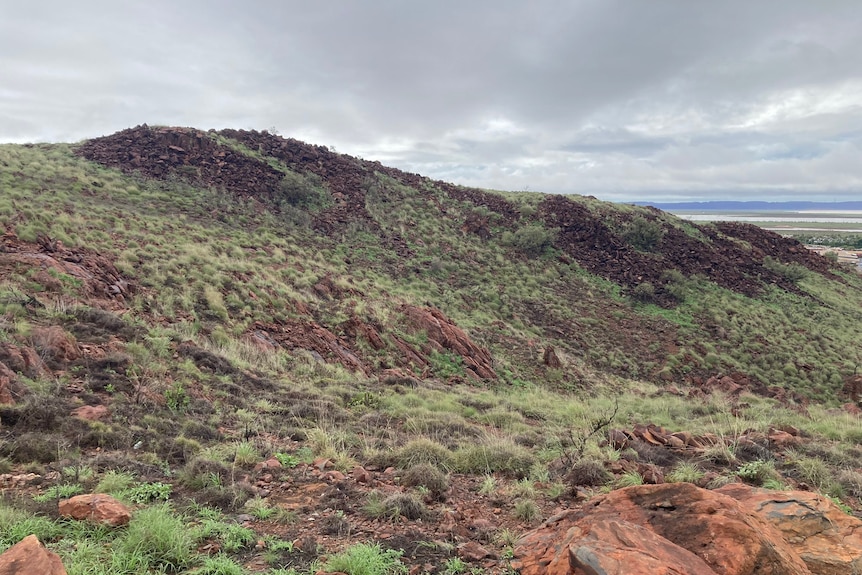 Green grasses and low shrubs grow in red dirt. The sky is grey.